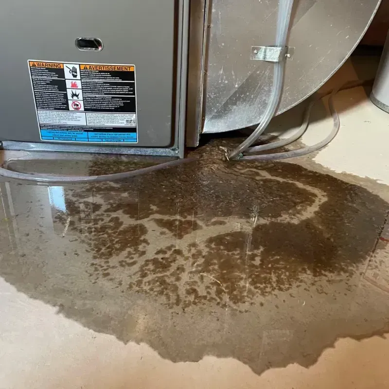 Appliance Leak Cleanup in Ipswich, MA